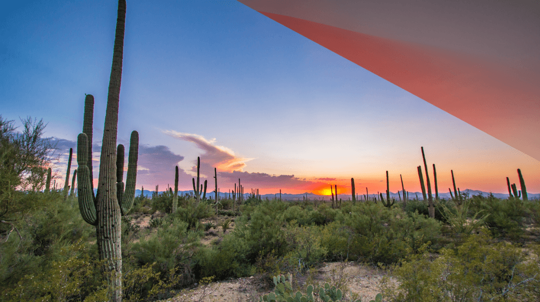 A Guide to Buying a House in Arizona in 2023 Orchard